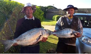 Dwarswater se Grotes